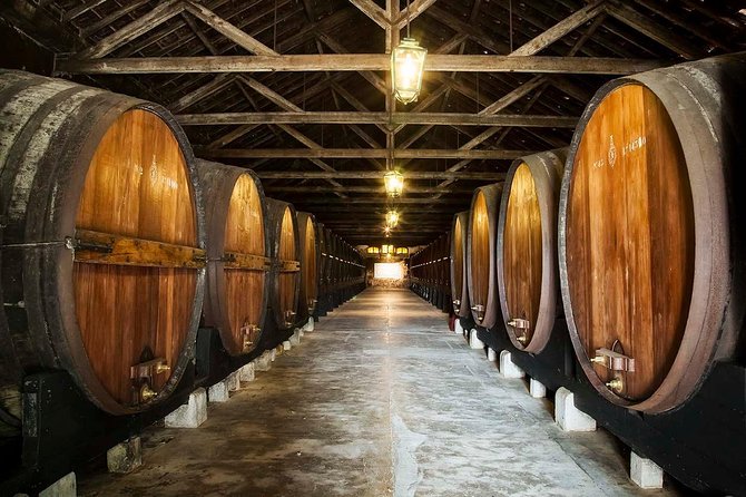 South Portugal Wine Route Private Full Day Tour from Lisbon - Key points at a glance