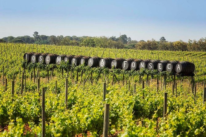 South Portugal Wine Route Private Full Day Tour from Lisbon - Price, group size, and what you really pay