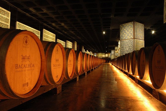 South Portugal Wine Route Private Full Day Tour from Lisbon - Comfort, timing, and who will enjoy it most