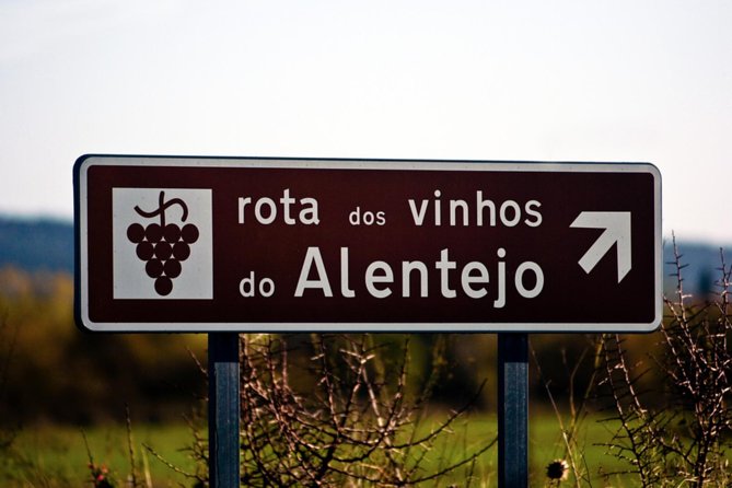 South Portugal Wine Route Private Full Day Tour from Lisbon - Bacalhôa Vinhos de Portugal and the optional palace