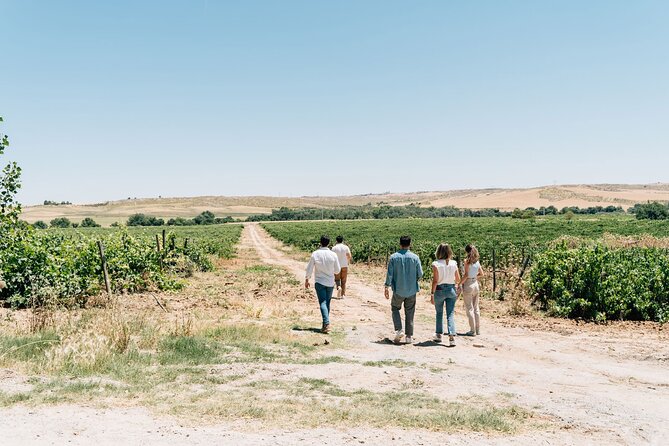 Spanish Villages & Winery Visit with Wine Tasting and Tapas Lunch - Inside Finca El Regajal and the Madrid wine country