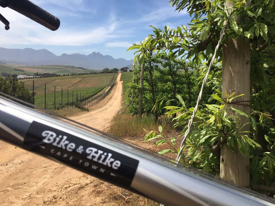 Stellenbosch: Devon Valley Vineyards Bicycle Tour w. Lunch - Key points to know before you book