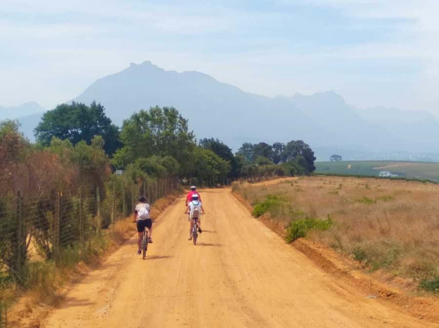 Stellenbosch: Devon Valley Vineyards Bicycle Tour w. Lunch - Getting fitted and starting the 20-kilometer ride