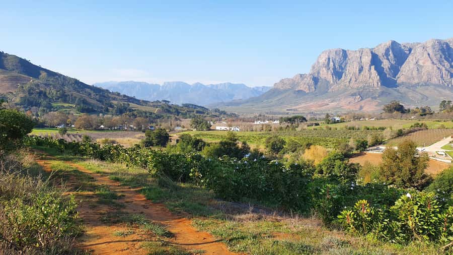 Stellenbosch: Guided Vineyard Hike and Wine Tasting - Walking between Stellenbosch and Franschhoek