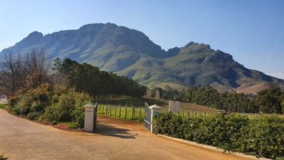 Guided Vineyard Hike and Wine Tasting