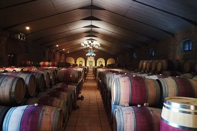 Stellenbosch Vineyard Walk & Wine Tasting - Tastings, lunch, water, and snacks