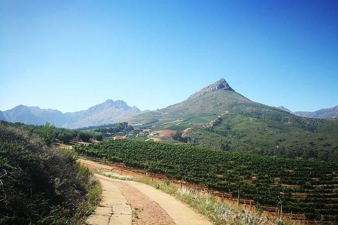 Stellenbosch Vineyard Walk & Wine Tasting - The walk toward Tokara Wine Estate