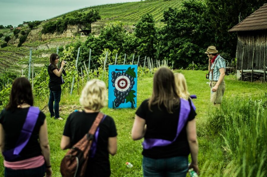 Stuttgart: Guided Vineyards Tour - Is the $800 group price worth it?