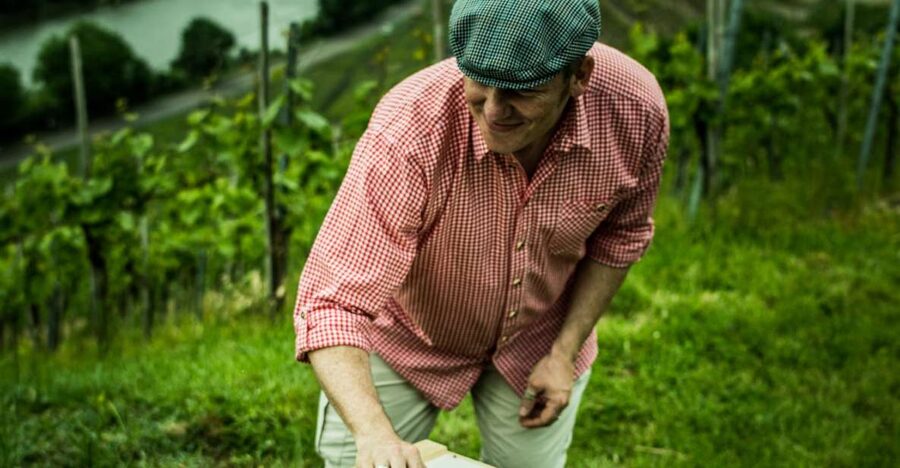 Stuttgart: Guided Vineyards Tour - Wine games that get people talking