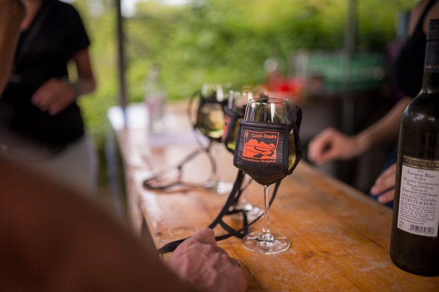 Stuttgart: Guided Vineyards Tour - The guide makes the difference