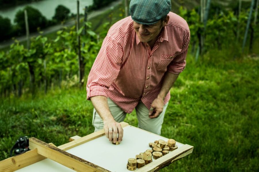 Stuttgart: Guided Vineyards Tour - Who will enjoy this Stuttgart wine walk?