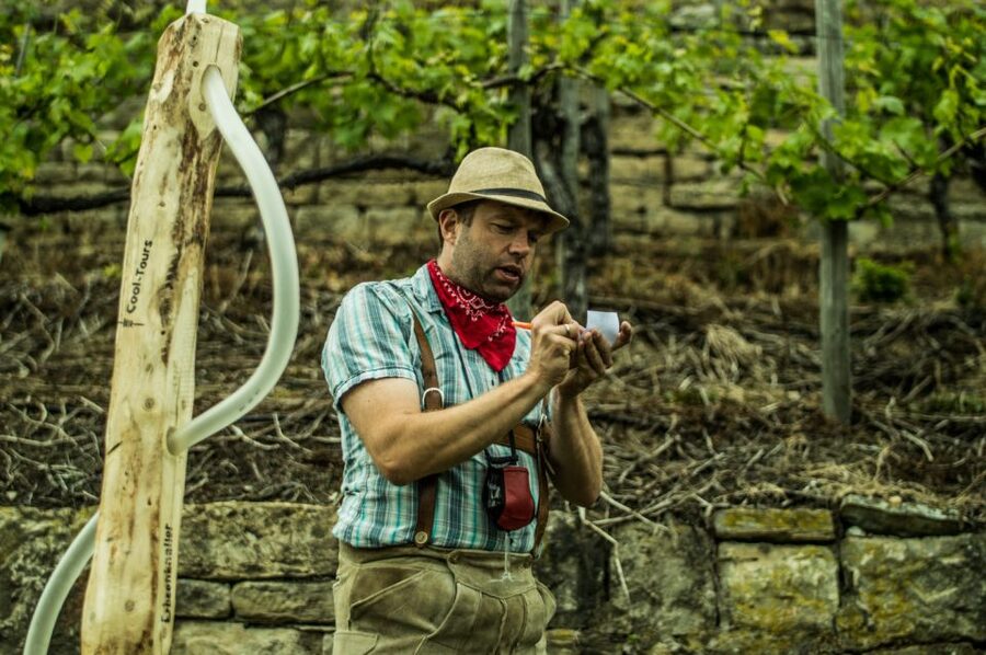 Stuttgart: Guided Vineyards Tour - Setting out through Steinhalde
