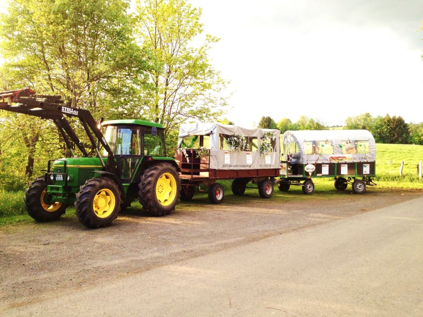 Stuttgart: Vineyard Tour by Covered Wagon - What the wine tasting is really like