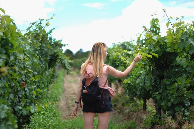 Sula Vineyards Day tour from either Mumbai OR Nashik - Key points to know before booking