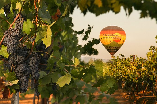Sunrise Hot Air Balloon Flight over the Temecula Wine Country - Quick take: what matters most