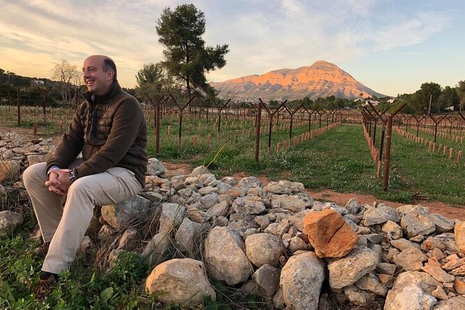 Sunset among Vineyards with Tasting in Alicante (min 6-12 people) - Key points to know before you book