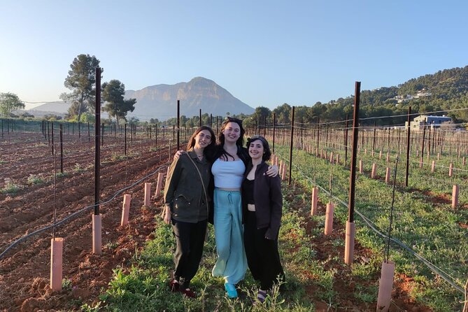 Sunset among Vineyards with Tasting in Alicante (min 6-12 people) - A small Alicante vineyard with a personal story