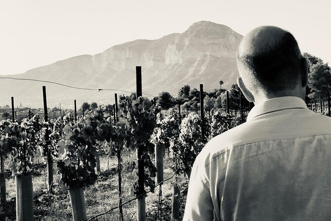 Sunset among Vineyards with Tasting in Alicante (min 6-12 people) - What the $46.26 price means