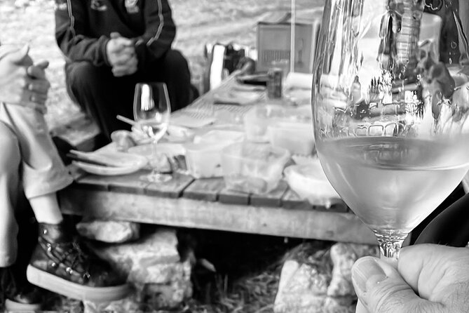 Sunset among Vineyards with Tasting in Alicante (min 6-12 people) - The midday timing needs a careful check