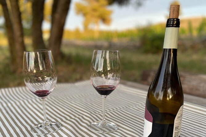 Sunset among Vineyards with Tasting in Alicante (min 6-12 people) - Who will enjoy this private vineyard visit