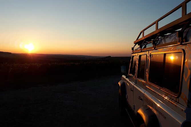 Sunset and champagne tasting in the vineyards - Leaving Reims for the Montagne de Reims