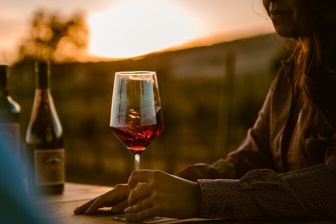 Sunset at the Vineyards Sidecar Wine Adventure Paso Robles - The 75-Minute Ride Through Wine Country