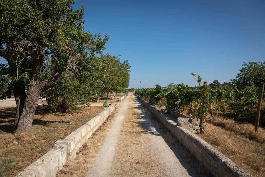 Sunset Escape in Lecce: Vineyard Picnic with Wine Tasting - How the three-hour timing affects the evening