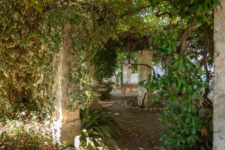 Sunset Escape in Lecce: Vineyard Picnic with Wine Tasting - The welcome and the people behind the evening