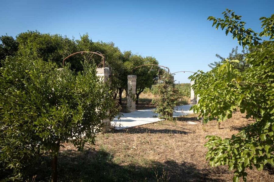 Sunset Escape in Lecce: Vineyard Picnic with Wine Tasting - Who will enjoy this most?