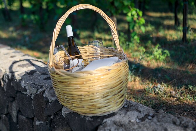 Sunset picnic in the vineyard - Your reserved place among the vines
