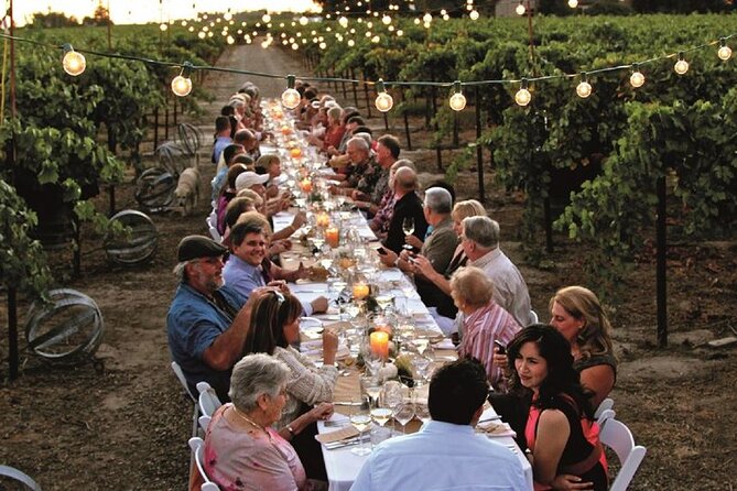 Sunset Summer Dinner Among the Vines – Small Group from Siena - Key points to know before booking