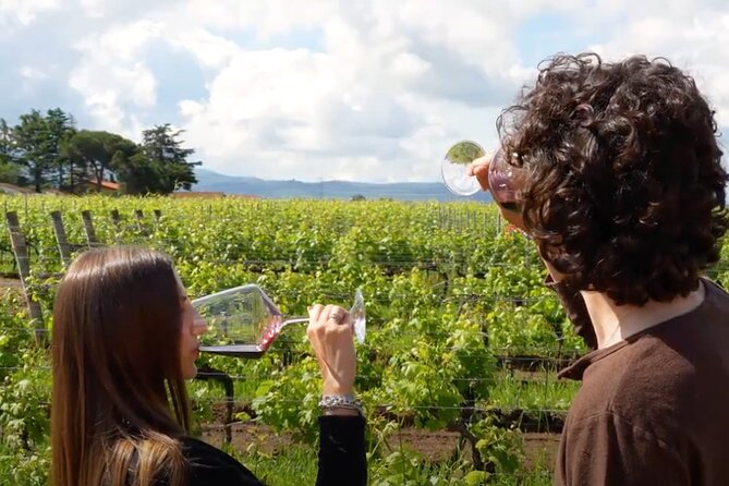 Sunset Summer Dinner Among the Vines – Small Group from Siena - Is $130.97 good value from Siena?