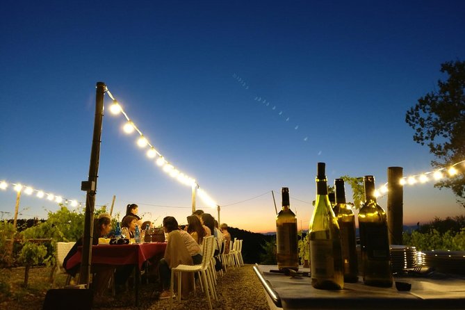 Sunset Summer Dinner Among the Vines – Small Group from Siena - Who will enjoy this Siena wine dinner?