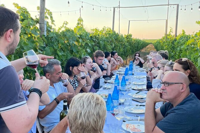 Sunset Summer Dinner Among the Vines – Small Group from Siena - What happens at Monteriggioni and the winery