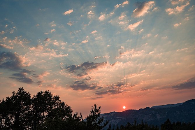 Sunset wine tasting in vineyard - What Makes This Different From a Standard Winery Visit