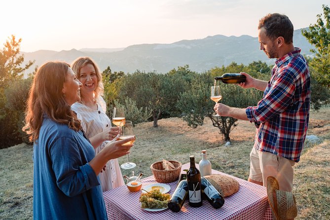 Sunset wine tasting in vineyard - Practical Details for a Comfortable Evening