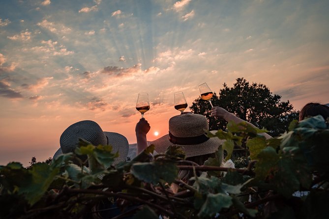 Sunset wine tasting in vineyard - Who Will Enjoy Vardia Most?