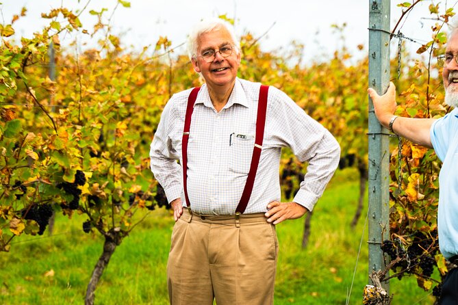 Sussex Vineyard & Winery Bus Tour on Iconic Vintage London Bus - Why the vintage bus matters