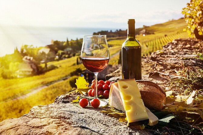 Swiss Wine Tasting at Lavaux Vineyards: Private Trip from Geneva - Leaving Geneva in a private vehicle