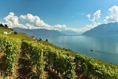 Swiss Wine Tasting at Lavaux Vineyards: Private Trip from Geneva