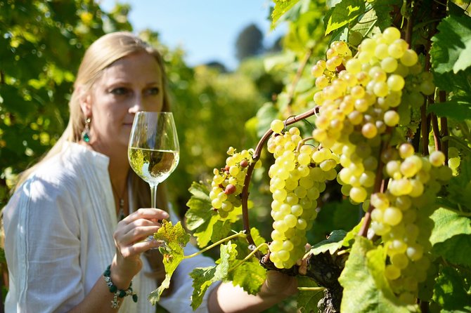 Swiss Wine Tasting at Lavaux Vineyards: Private Trip from Geneva - What the eight-hour timing means