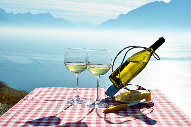 Swiss Wine Tasting at Lavaux Vineyards: Private Trip from Geneva - Who should book this private Lavaux trip?