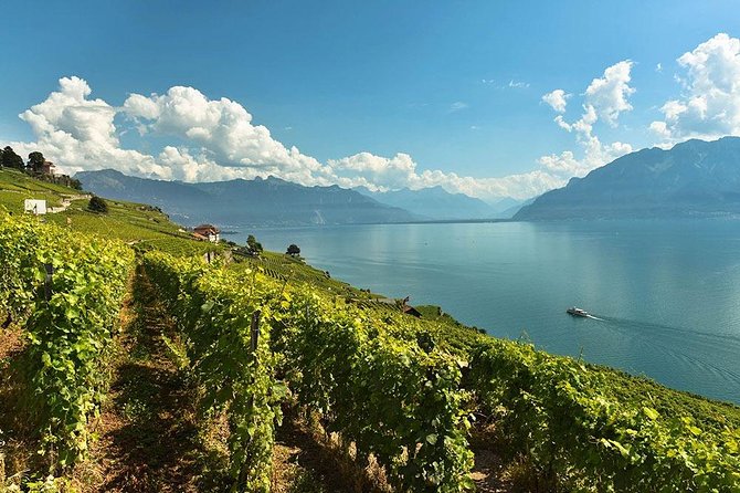 Swiss Wine Tasting at Lavaux Vineyards: Private Trip from Geneva - Arriving at the Lavaux Vineyard Terraces