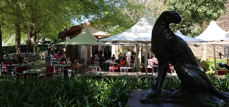 Table Mountain & Constantia Wine Estate Private Combo Tour - Why this private day works in Cape Town