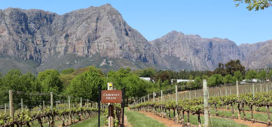 Table Mountain & Constantia Wine Estate Private Combo Tour - Camps Bay and Maidens Cove add the coastal picture