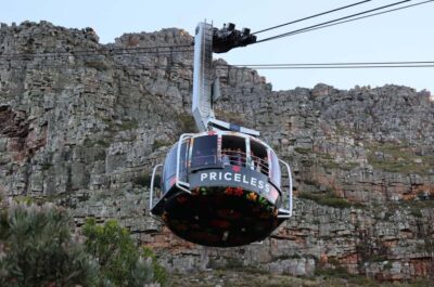 Table Mountain & Constantia Wine Estate Private Combo Tour