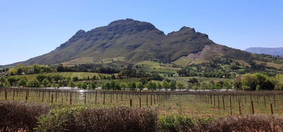 Table Mountain & Constantia Wine Estate Private Combo Tour - What the $210 price really covers