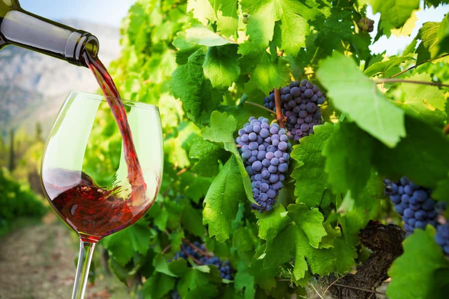 Table Mountain & Constantia Wine Estate Private Combo Tour - Who should book this tour?