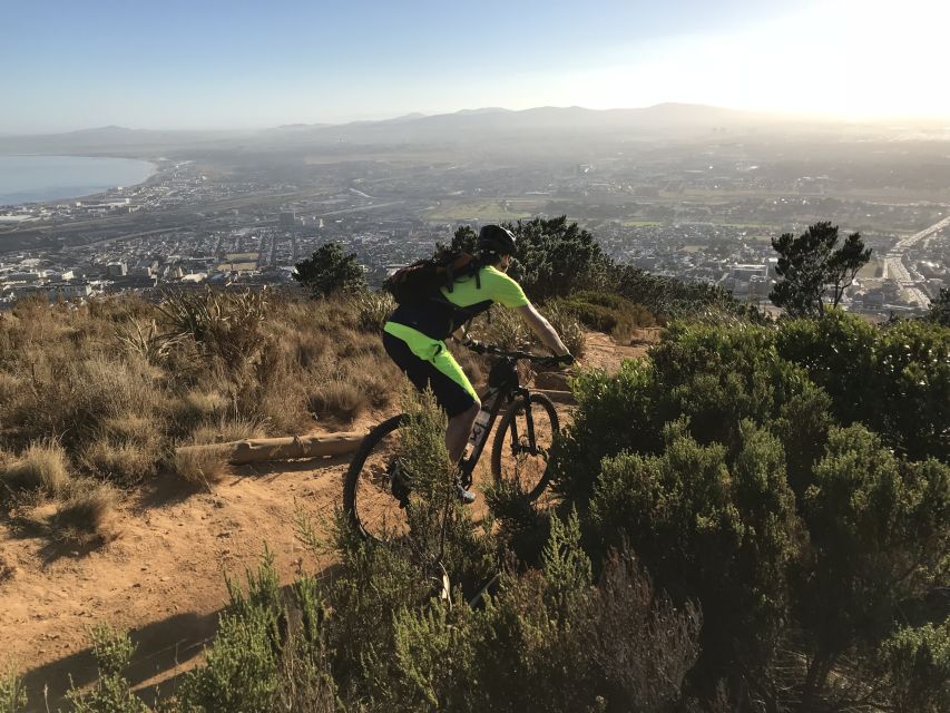 Table Mountain: Mountain Biking to Constantia Wine Estate - Why This Route Works So Well