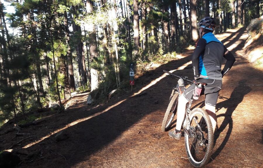 Table Mountain: Mountain Biking to Constantia Wine Estate - Starting at the Lower Cable Car Station